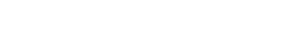 Accessory Brand